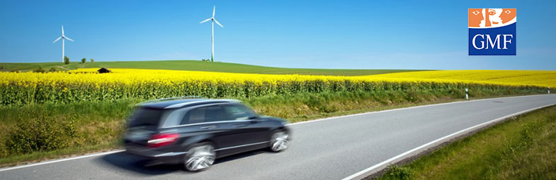 gmf